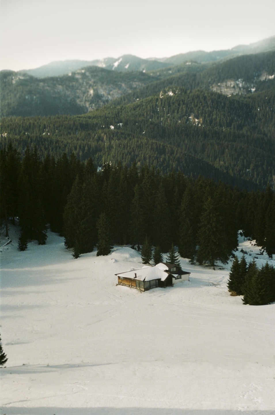 A ranger's hut sits in a snow-covered field surrounded by a dense forest and mountains.