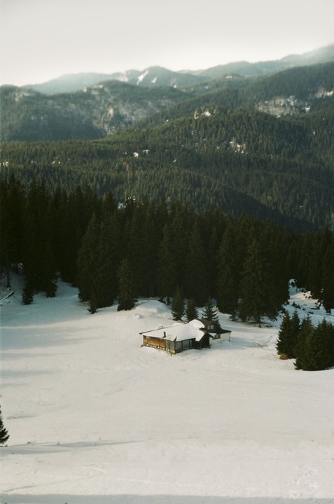 A ranger's hut sits in a snow-covered field surrounded by a dense forest and mountains.