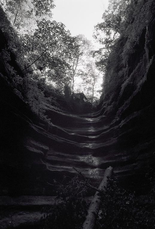 A fallen tree lies in a dark, narrow canyon with light visible at the top.