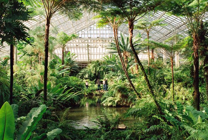 A lush indoor garden with a pond and several people is visible under a glass roof.