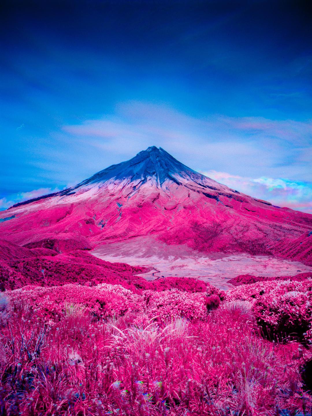 A mountain rises above a landscape of pink foliage under a blue sky.