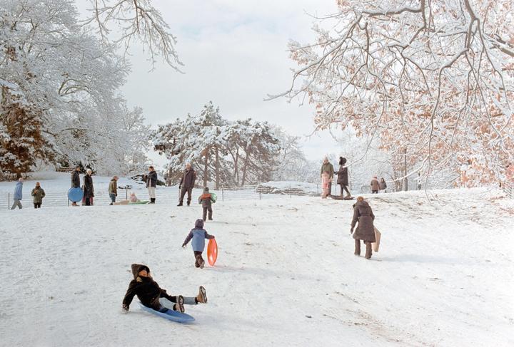 People are sledding and playing in a snow-covered park with trees in the background.
