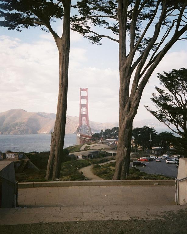 The Golden Gate Bridge is visible between two large trees, with a body of water and hills in the background.