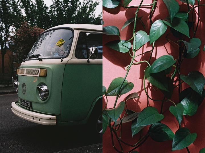 A split image shows the front of a green and white van on the left and green vines on a pink wall on the right.