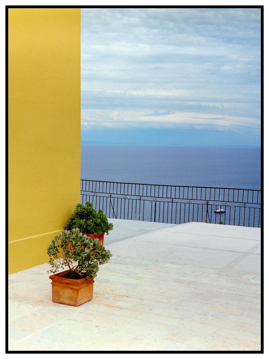 Two potted plants sit on a patio overlooking a body of water with a boat and a distant horizon.