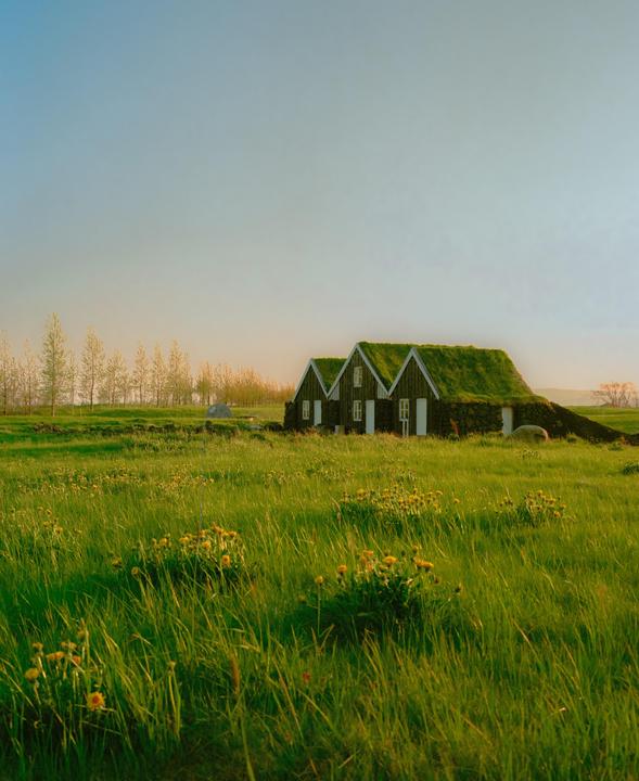 Two houses with grass roofs are nestled in a green field under a clear sky.