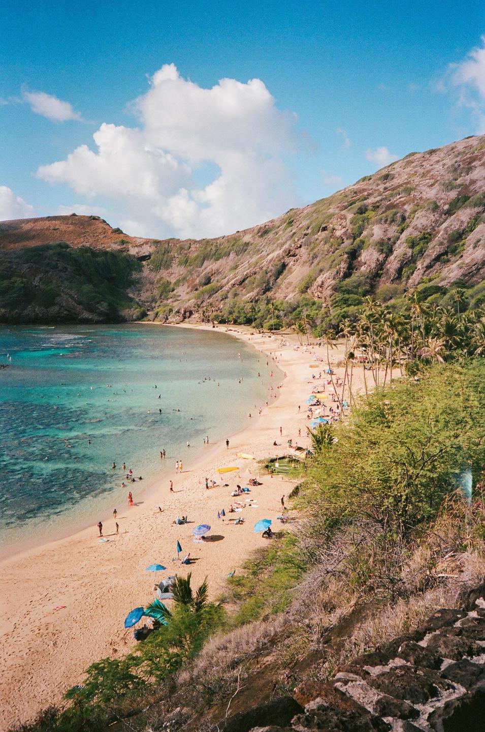 A wide shot shows a beach with many people, palm trees, and mountains in the background.