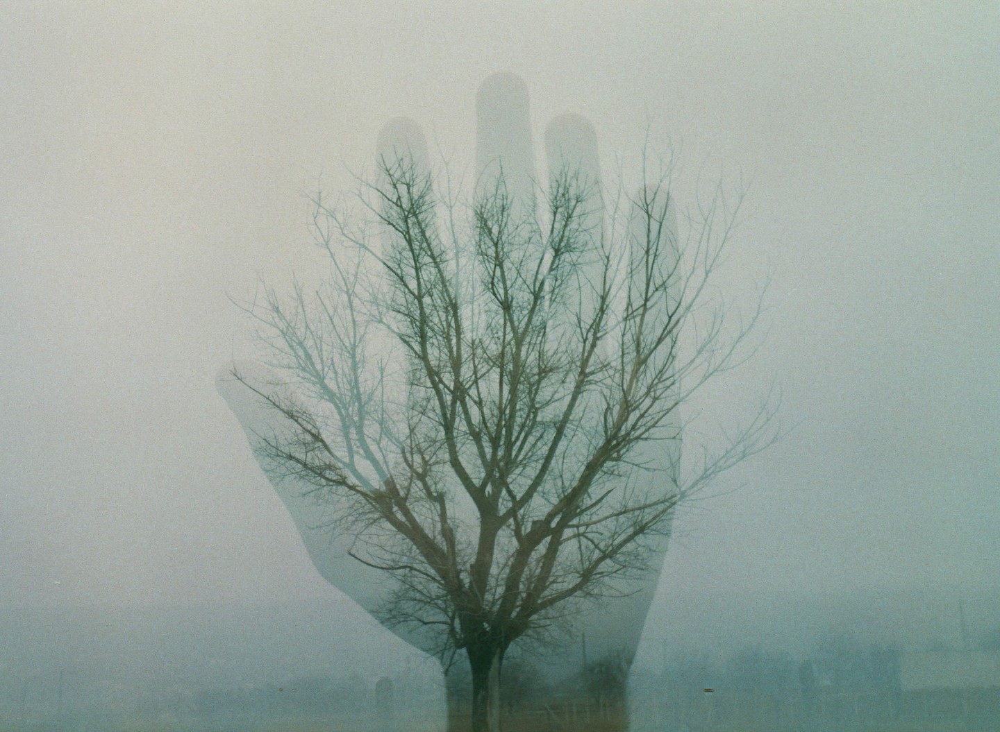 A bare tree is double exposed over a faint outline of a hand against a hazy background.