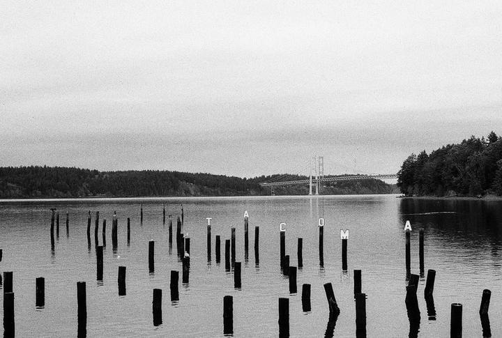 A body of water with many wooden posts in the foreground and a suspension bridge in the background.