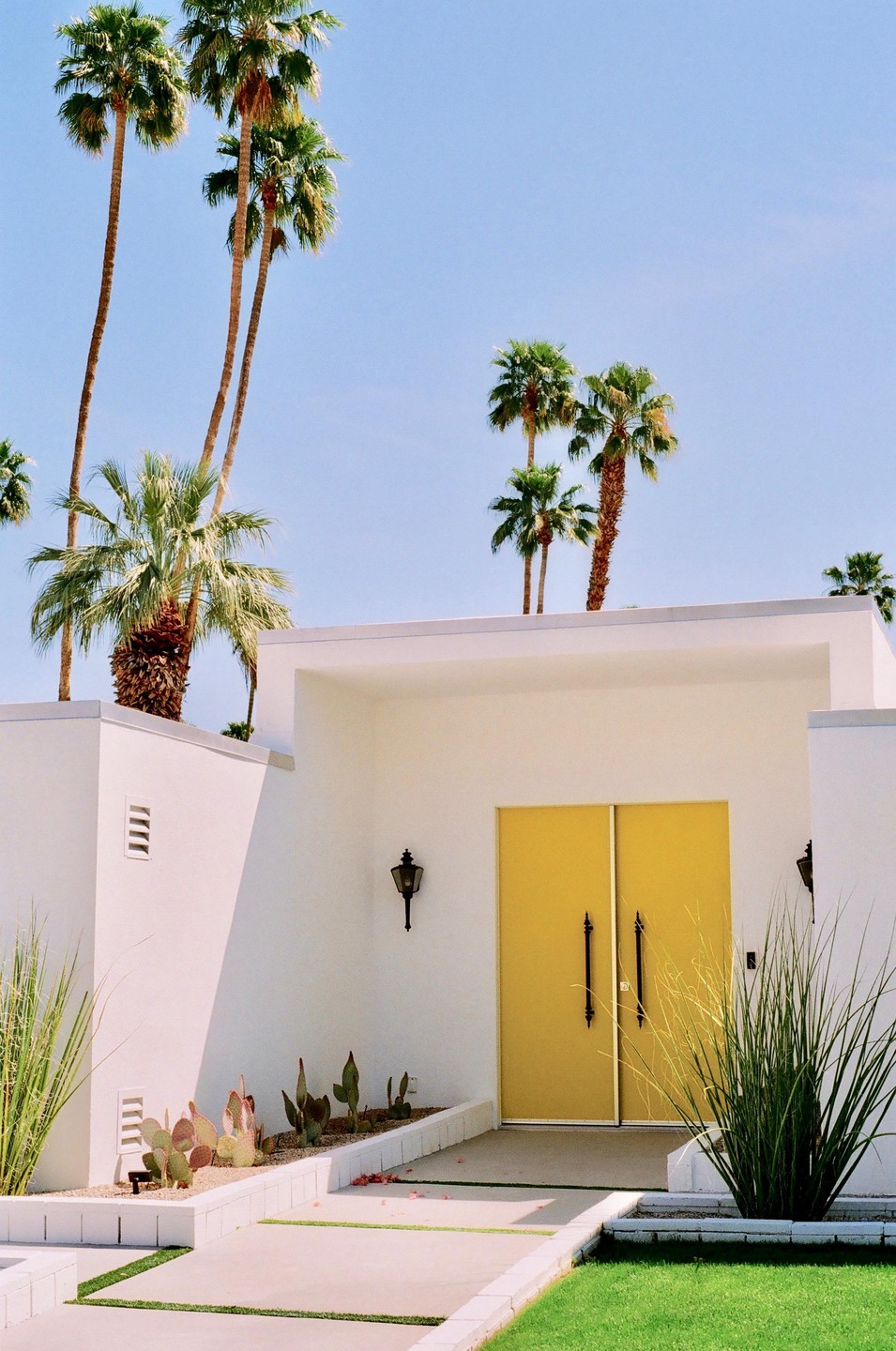 A white building with a bright yellow door is surrounded by palm trees and desert plants under a clear sky.