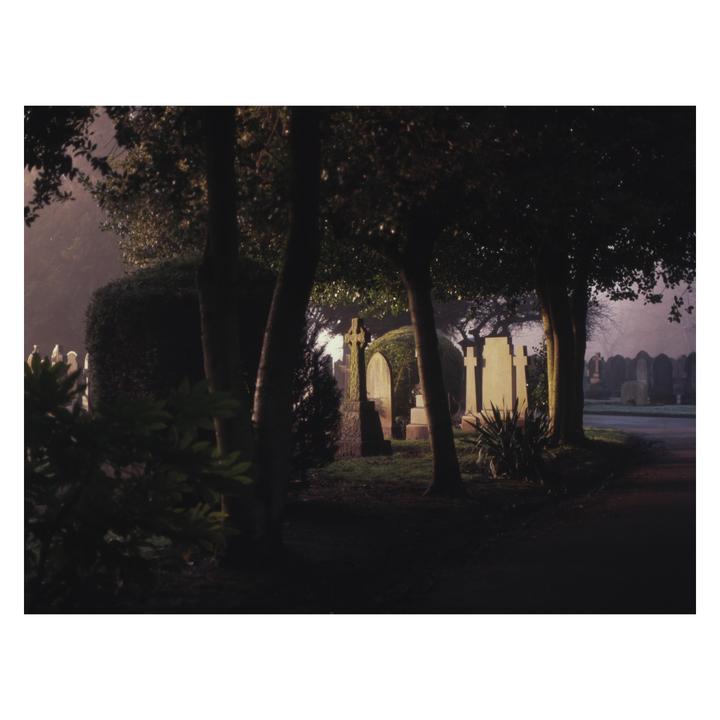 A foggy morning illuminates gravestones and trees in a cemetery.