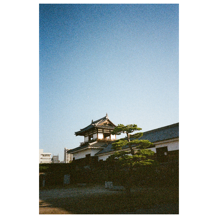 A traditional Japanese building with a tiled roof and a small tree in front of it stands against a clear sky.