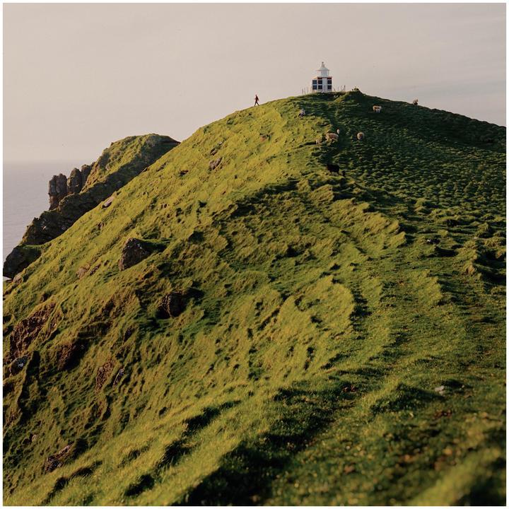 A person walks along a grassy ridge towards a lighthouse with sheep grazing nearby and the ocean visible in the distance.
