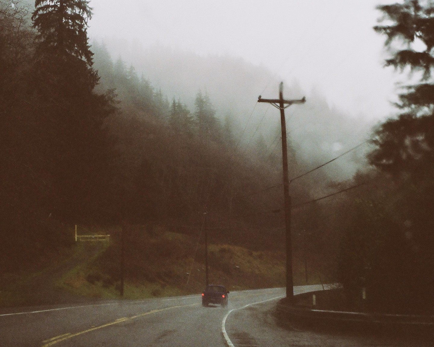 A car drives on a winding road through a foggy, forested landscape with a utility pole on the right.