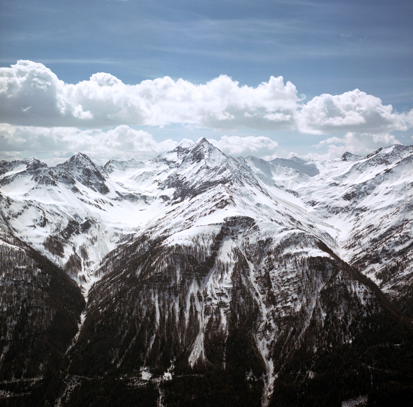 A range of snow-covered mountains with trees on their lower slopes stretches under a cloudy sky.