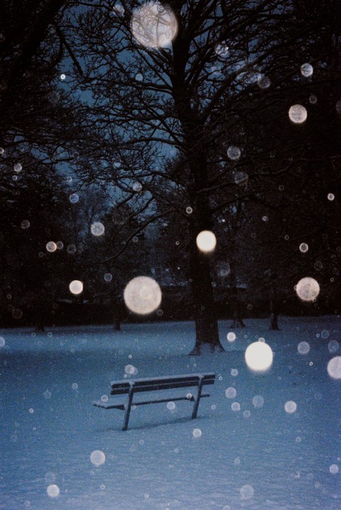 A park bench sits in a snow-covered landscape with trees in the background and many bright bokeh circles.