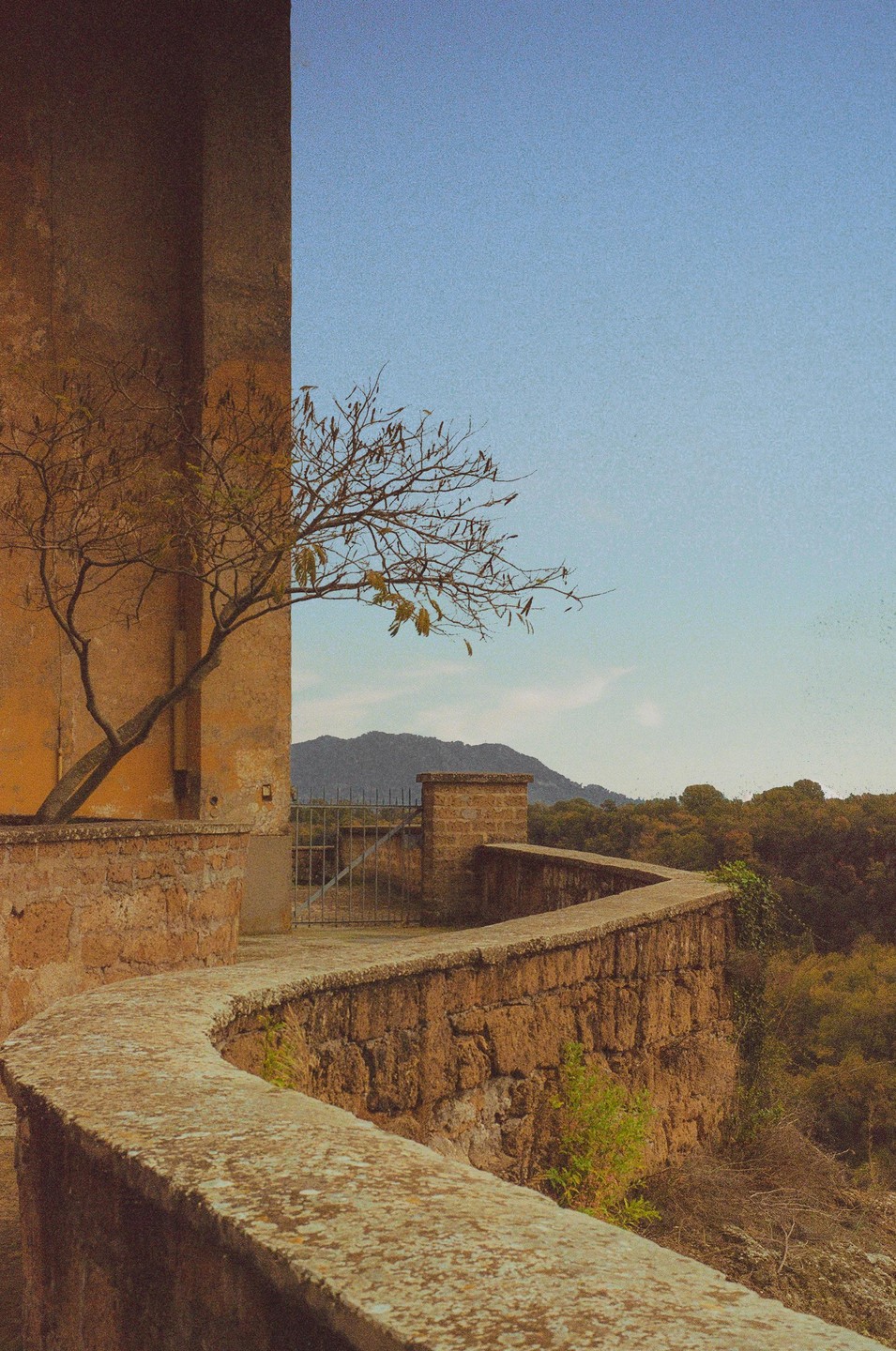 A winding stone wall leads to a gate with a tree and building on the left and a forest and mountain in the background.