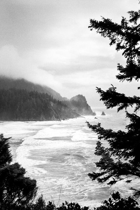 A black and white landscape shows a rugged coastline with waves crashing against the shore and forested cliffs shrouded in fog.