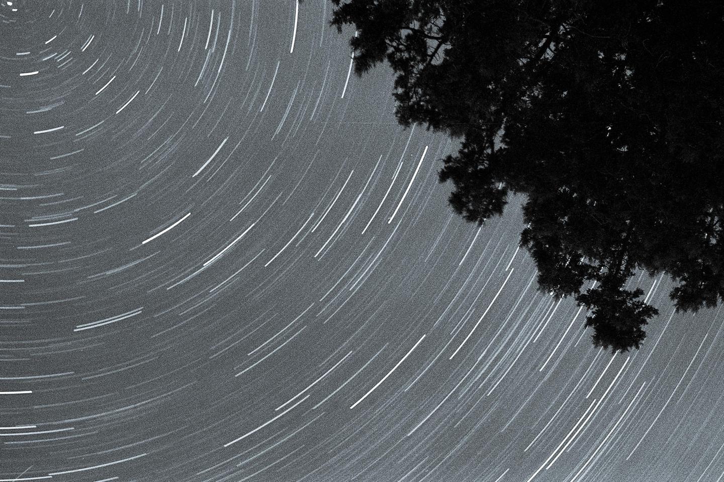 Star trails arc across the night sky with a tree branch visible in the upper right corner.