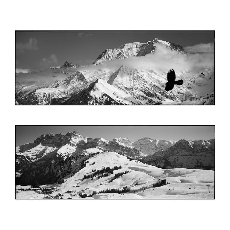 A bird flies over a snow-covered mountain range with clouds, and a second image shows a wide view of a snowy mountain landscape with ski slopes.