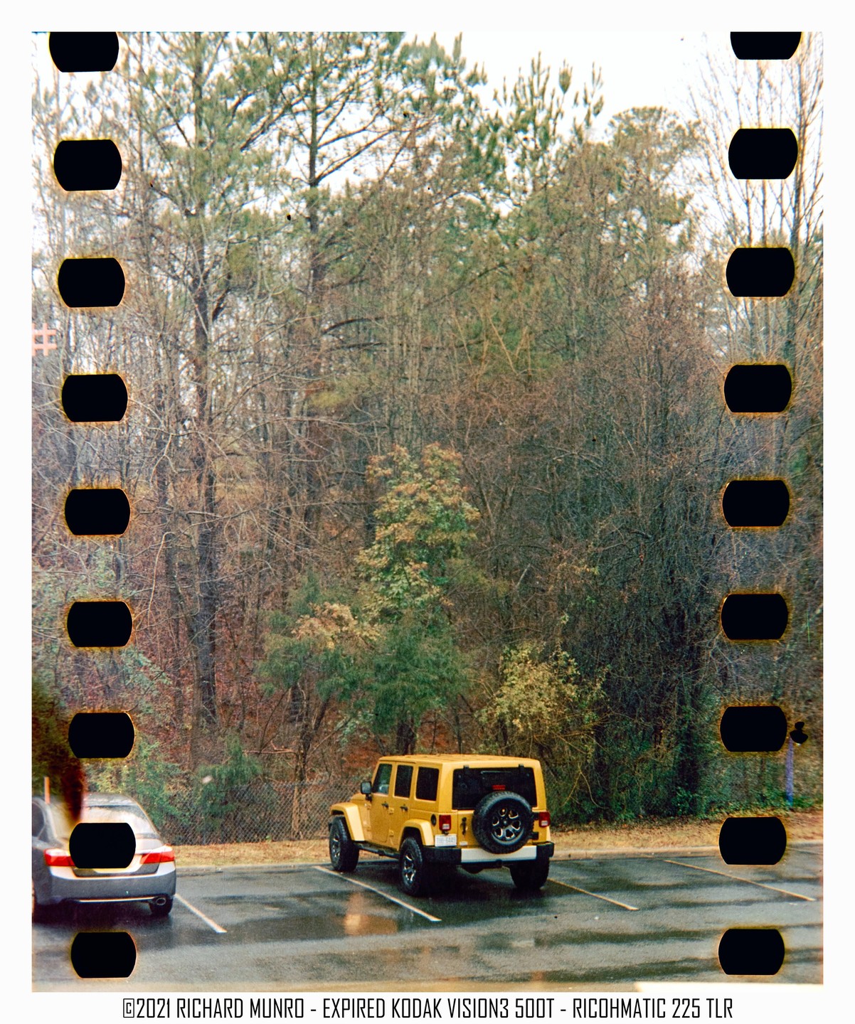 A yellow jeep is parked in a wet parking lot with a forest in the background.