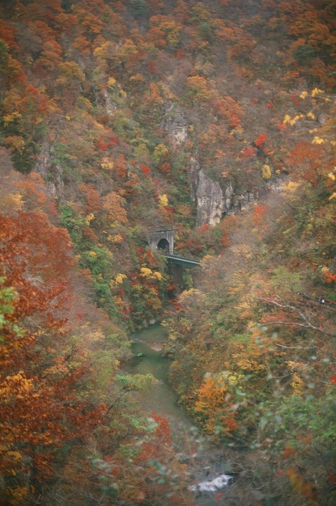 A river flows through a valley filled with autumn foliage, with a tunnel and bridge visible in the distance.
