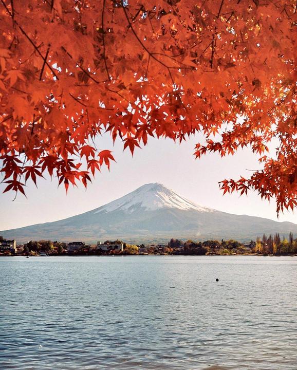 Mount Fuji rises above a lake, framed by red autumn leaves.