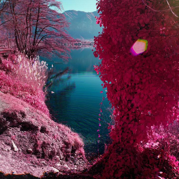 A body of water is surrounded by trees and mountains under a clear sky.