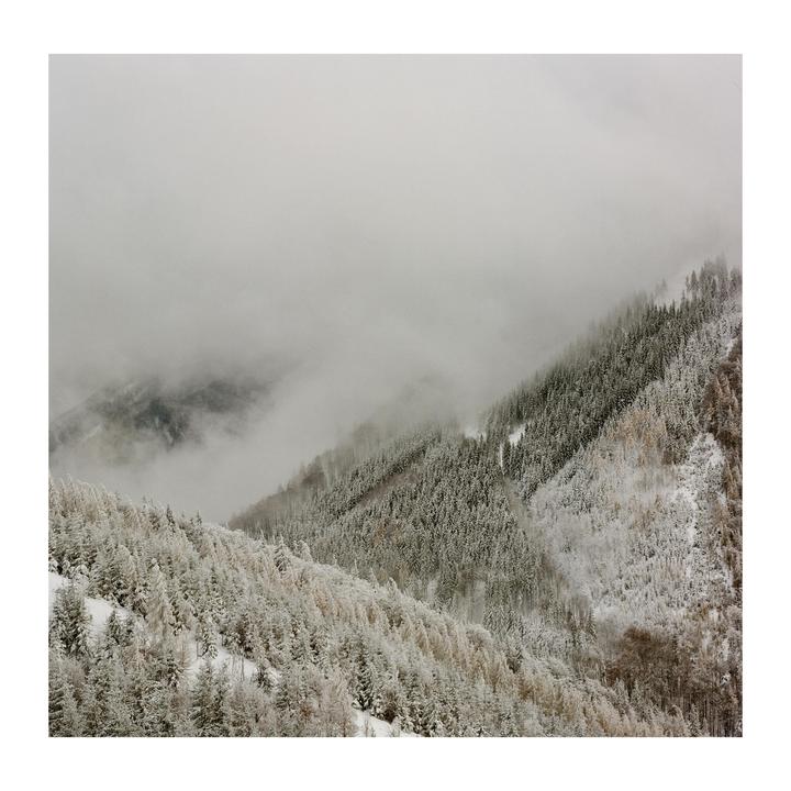 Snow-covered trees blanket the side of a mountain as fog rolls through the valley.