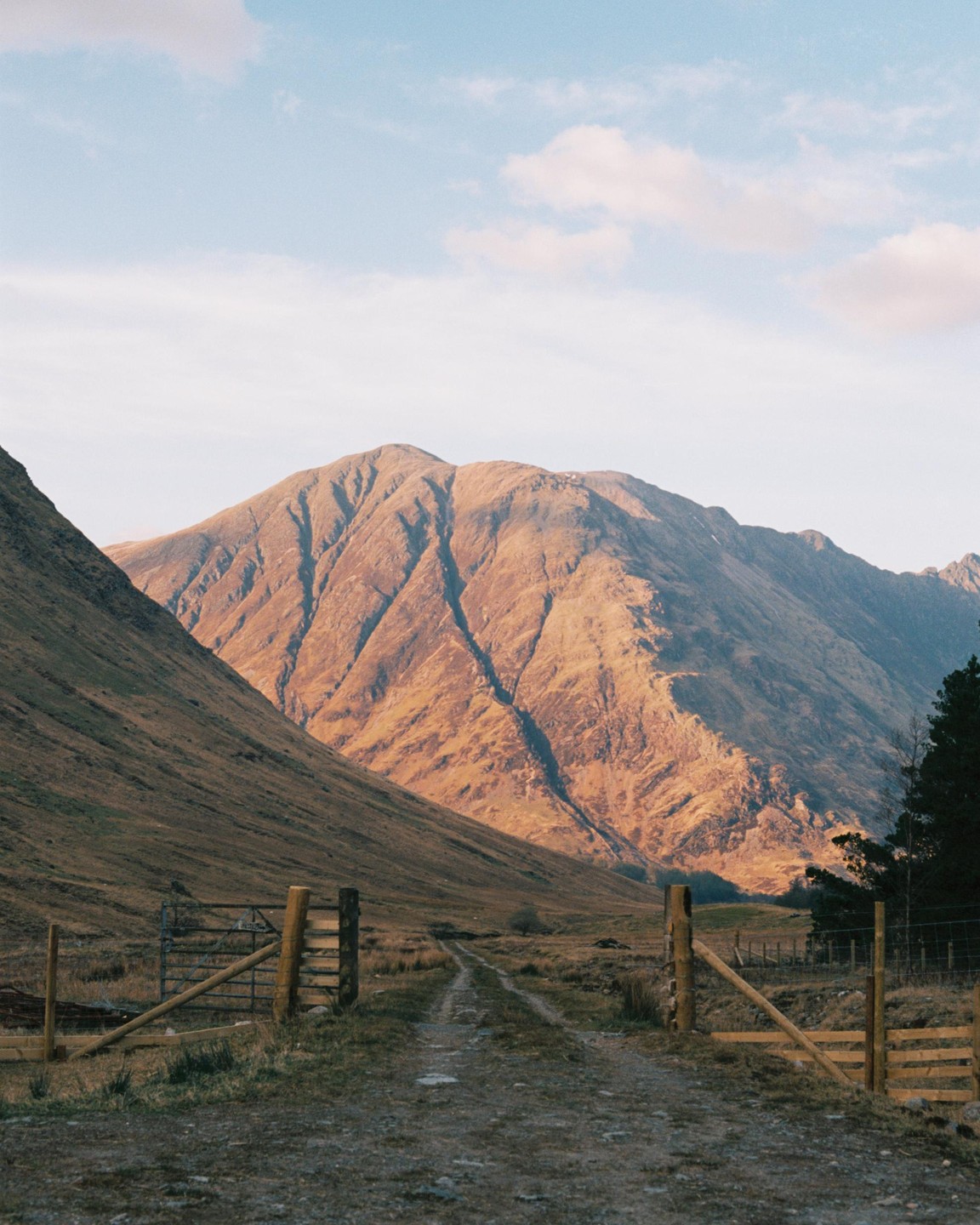 A dirt road leads through a valley towards a large mountain illuminated by golden light.