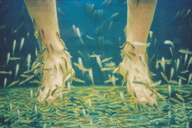 Two feet are submerged in water and covered in small fish.