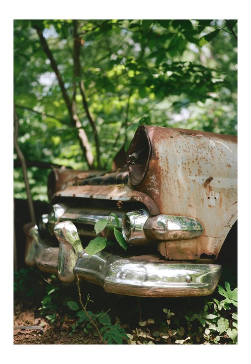 A rusty, abandoned car is overgrown with green foliage in a forest.