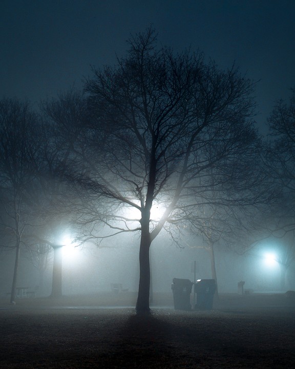 A park at night is illuminated by streetlights through a thick fog, with bare trees silhouetted against the light.