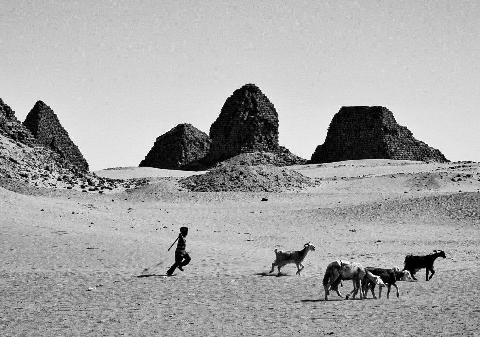 A boy herds goats past ancient pyramids in a desert landscape.