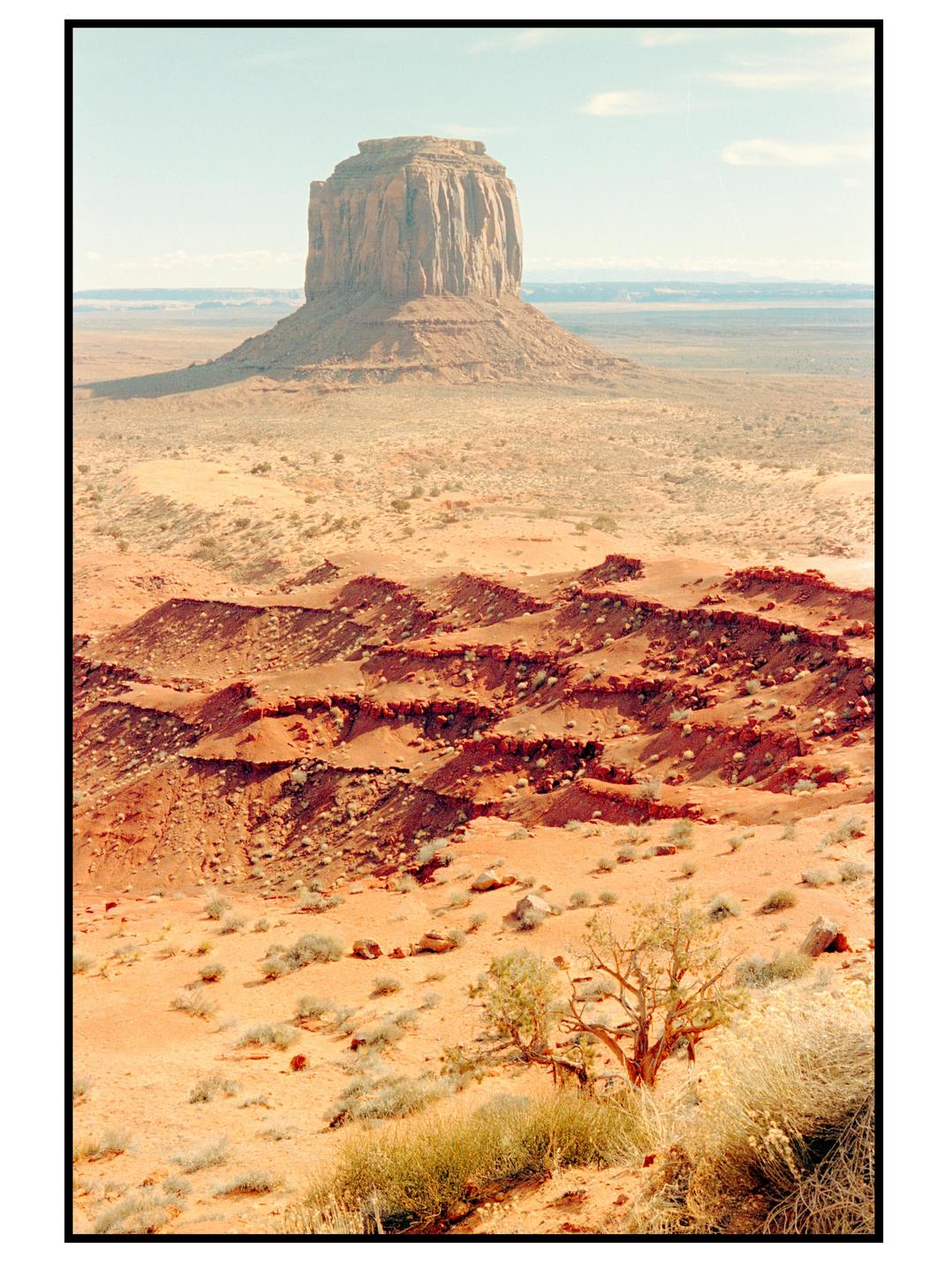 A vast desert landscape features a large mesa under a pale sky, with smaller red rock formations and sparse vegetation in the foreground.