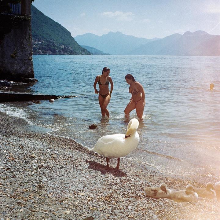 Two women stand in the water of a lake with a swan and cygnets on the rocky shore in the foreground and mountains in the background.