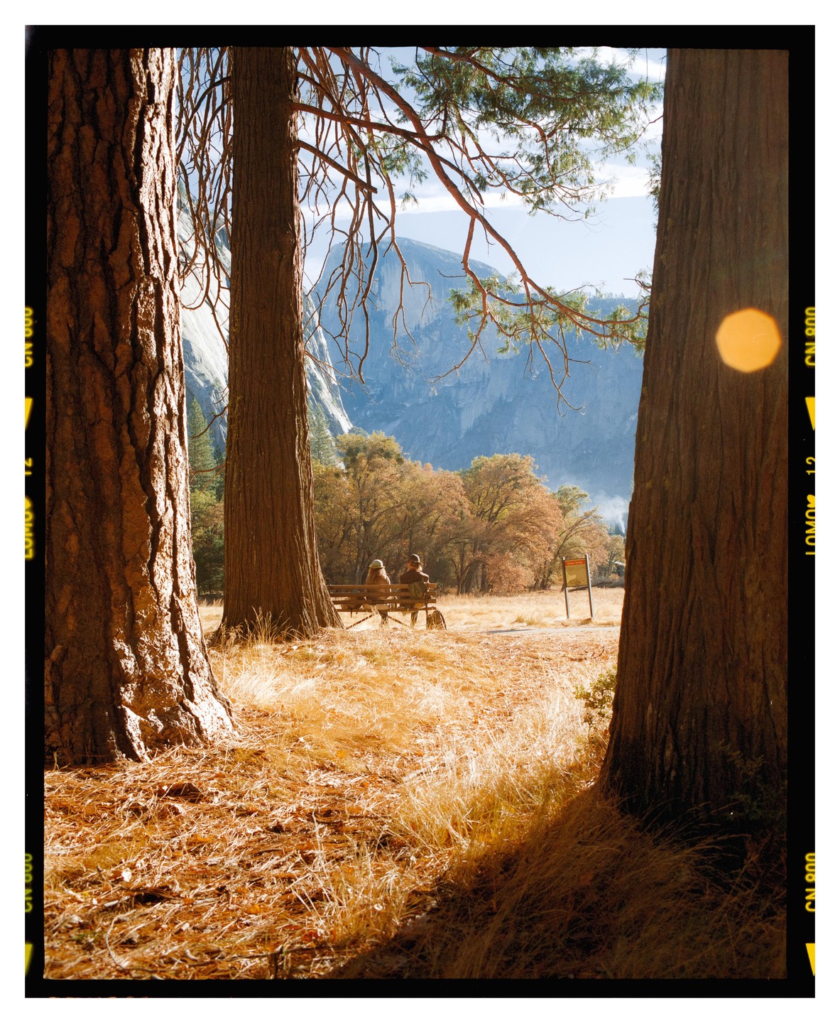 Two people sit on a bench between two large trees, looking out at a mountain.