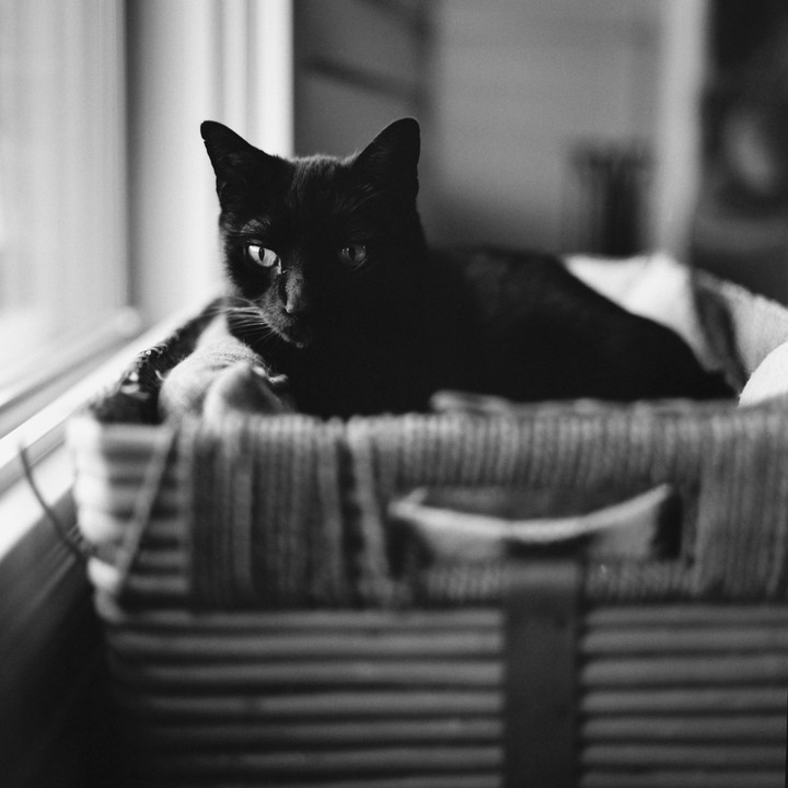A black cat is resting in a basket next to a window.