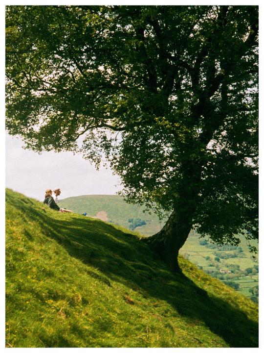 Two people are sitting on a grassy hillside under a large tree, overlooking a valley.