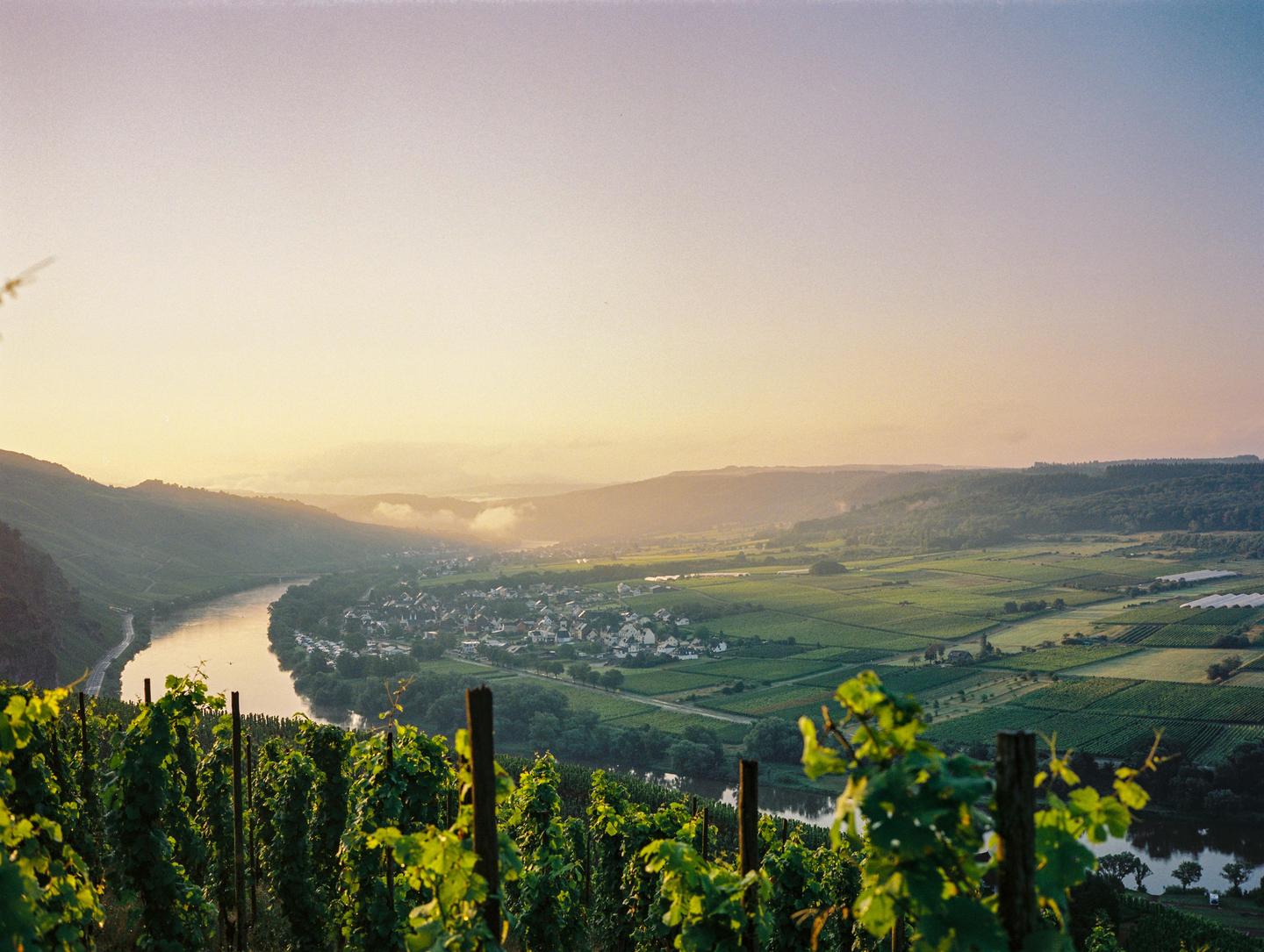 A river winds through a valley with a village and vineyards under a hazy sky at sunset.