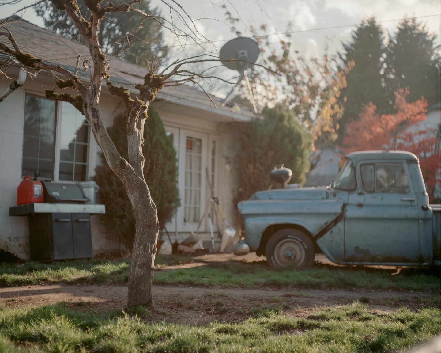 A light blue pickup truck is parked in a grassy yard next to a house with a bare tree in the foreground.
