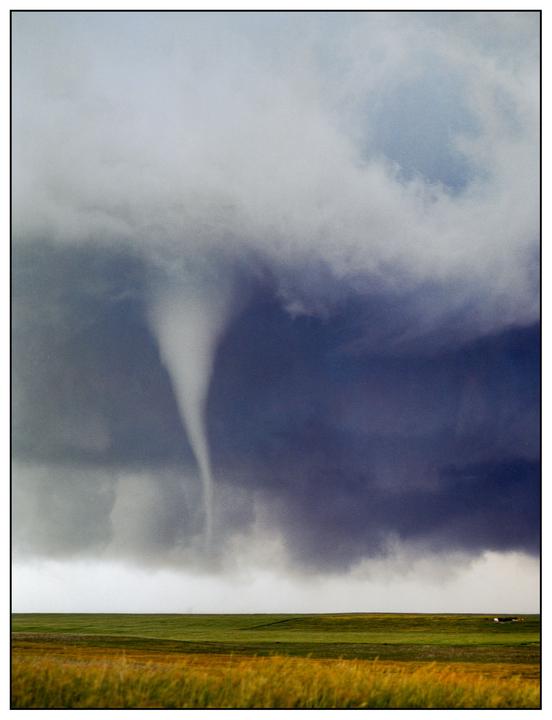 A tornado descends from dark storm clouds over a vast green and yellow field.