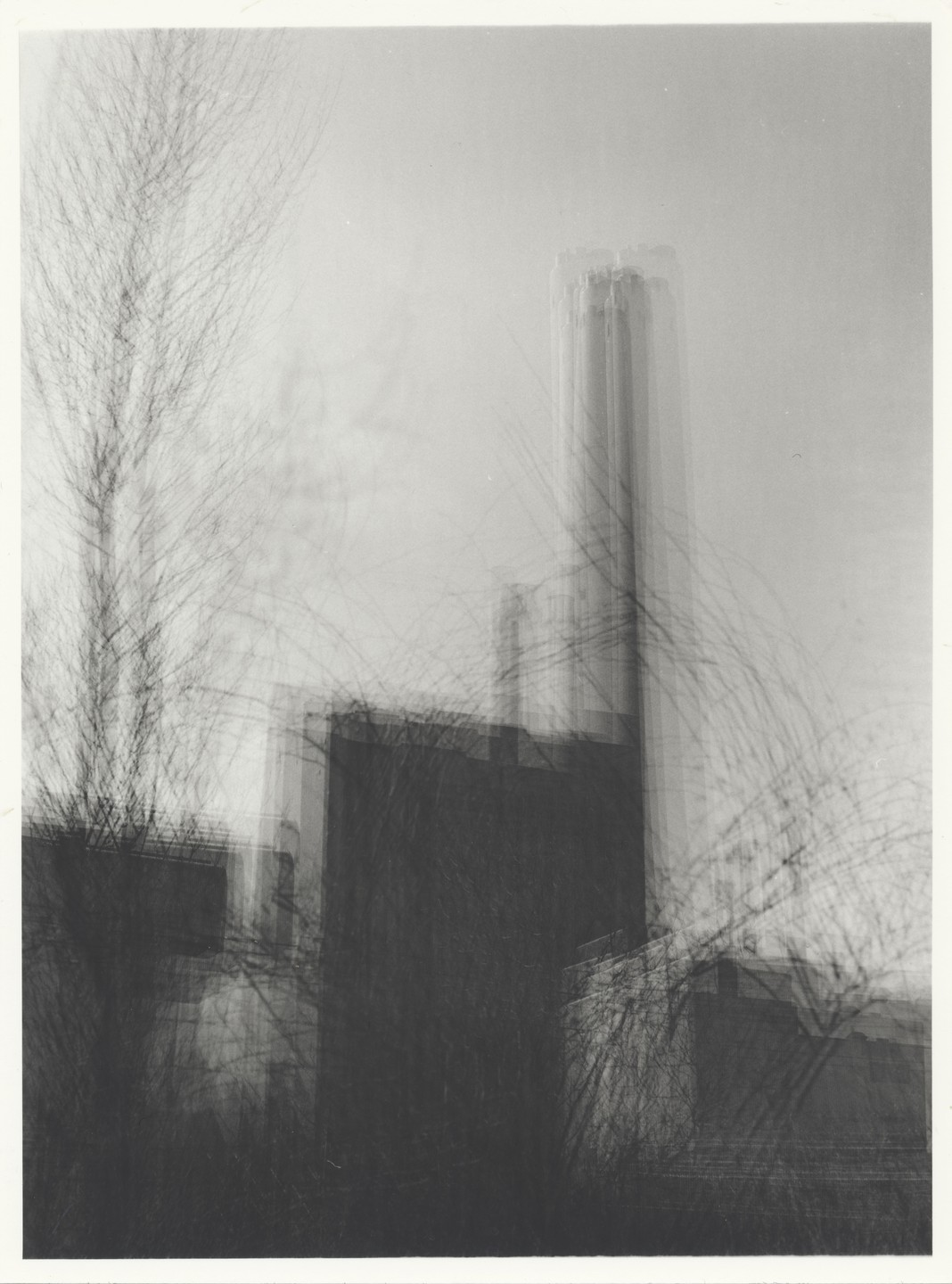 A tall building and other structures are visible through the blurred branches of a tree.