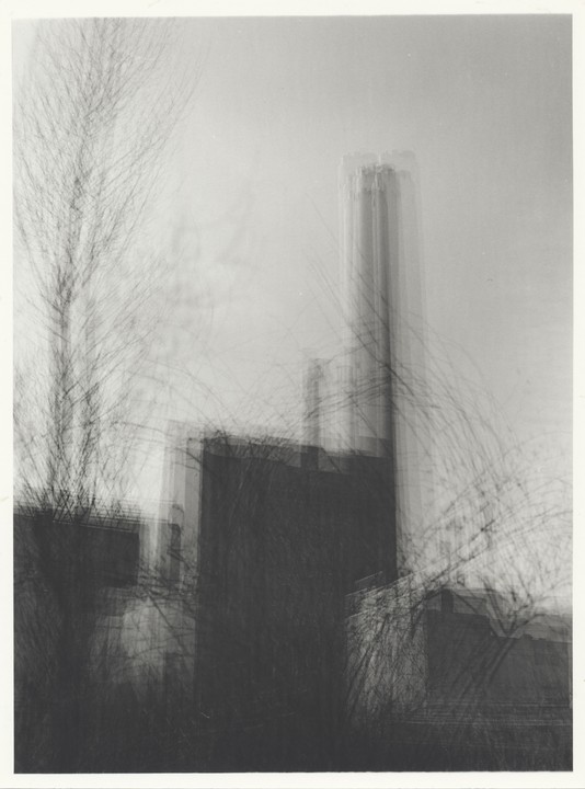 A tall building and other structures are visible through the blurred branches of a tree.