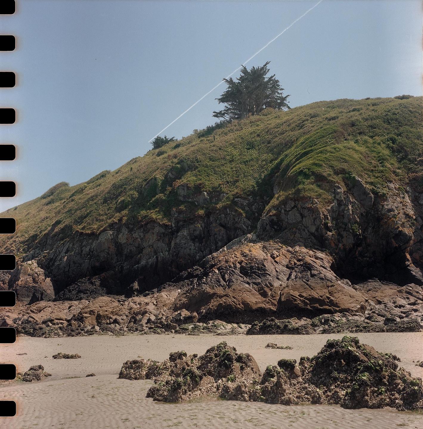 A sandy beach with rocks and a grassy hill with a tree under a clear sky with a contrail.