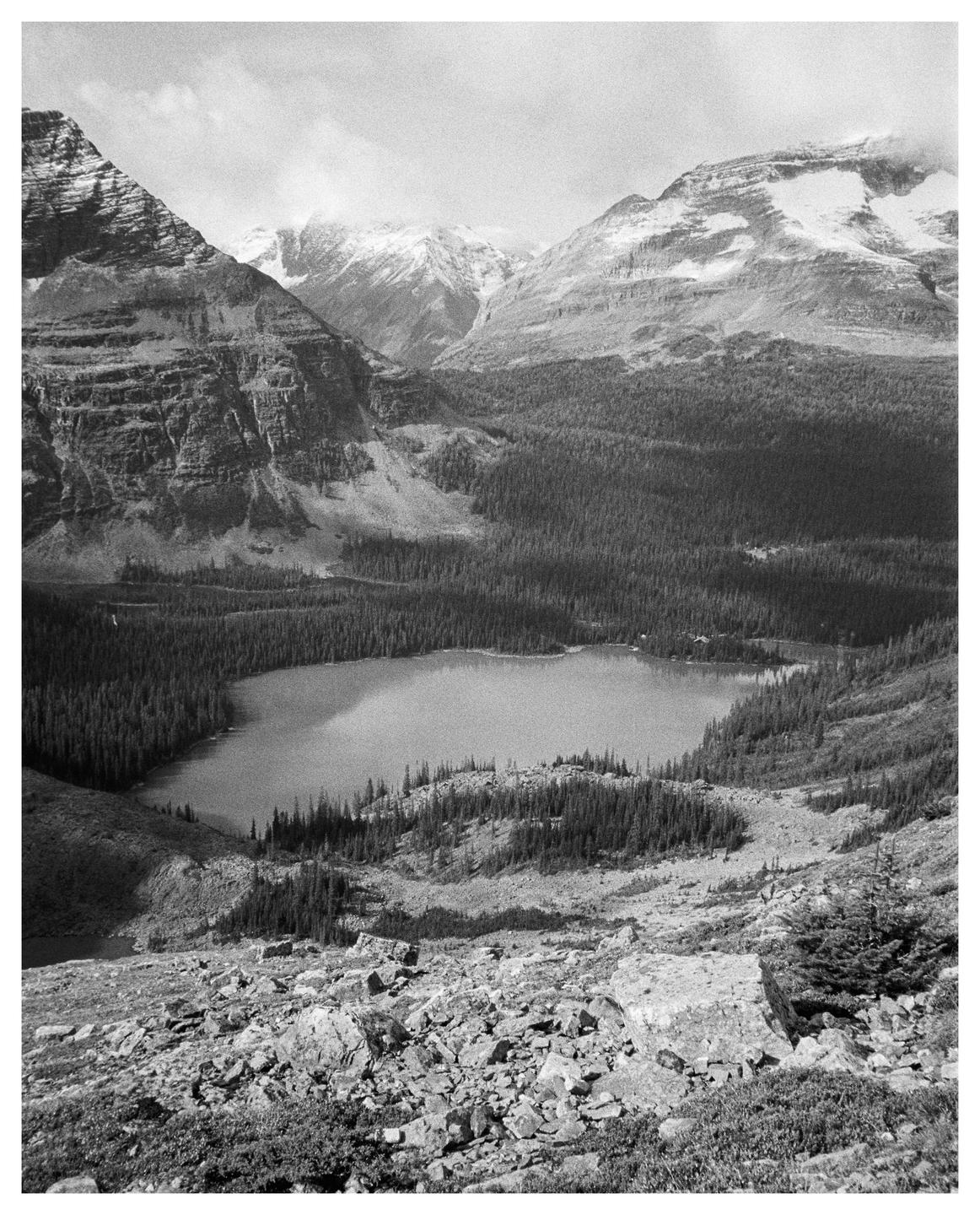 A high-angle landscape shows a lake surrounded by a forest and mountains with snow-capped peaks.