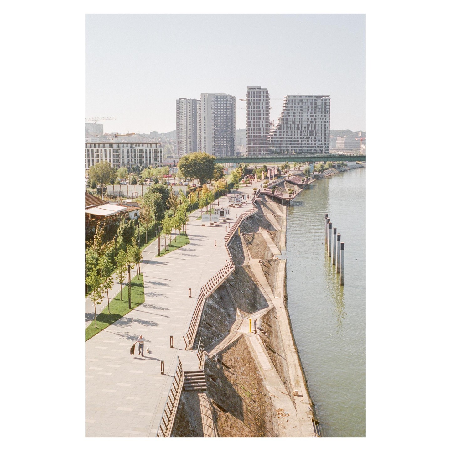 A man walks a dog along a river promenade with modern buildings in the background.