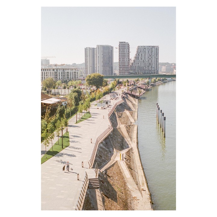 A man walks a dog along a river promenade with modern buildings in the background.