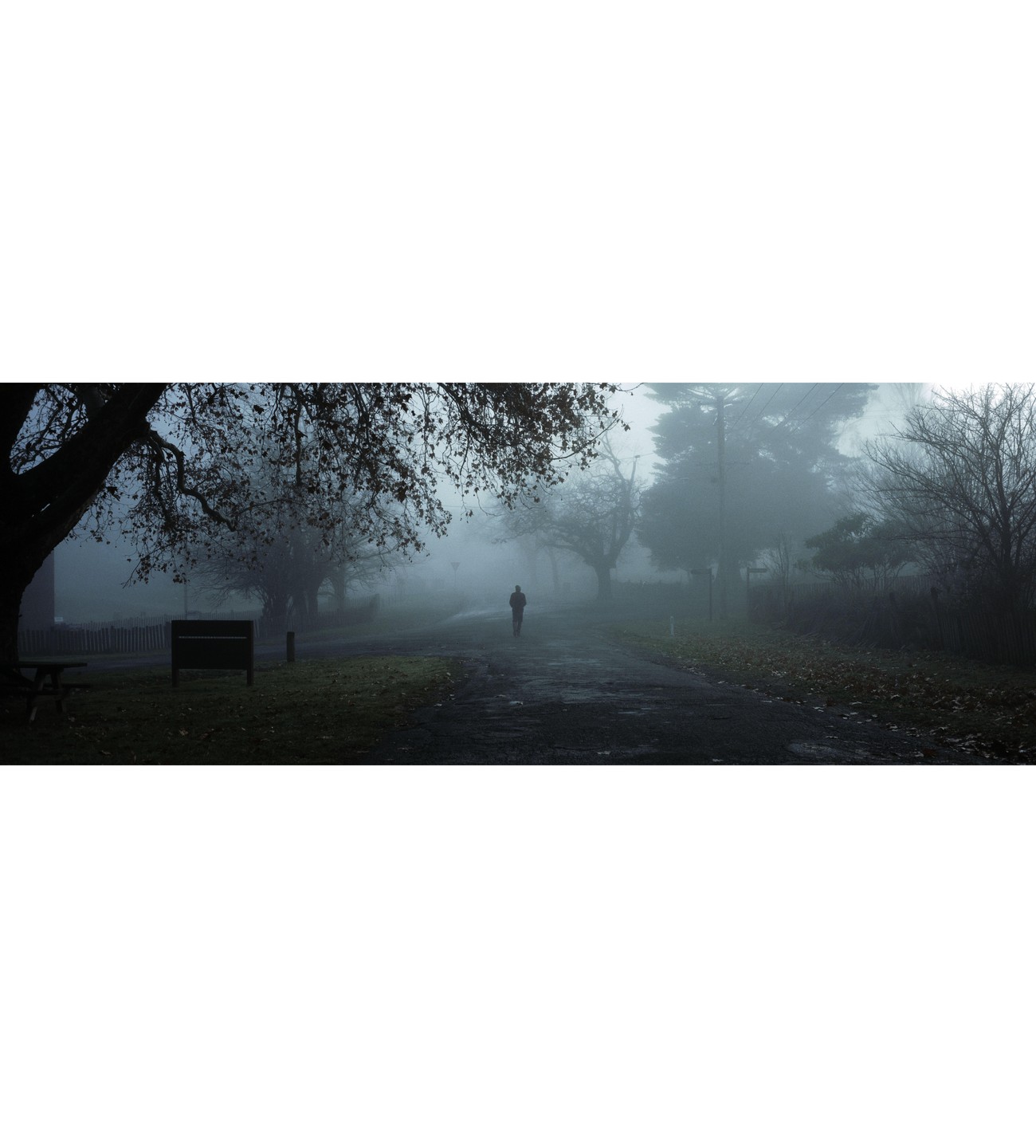 A person walks down a foggy road lined with trees.