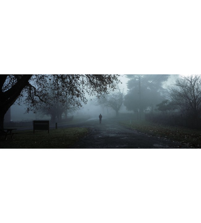 A person walks down a foggy road lined with trees.